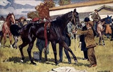 Künstler Ak Pferd, Rennpferd, Pferderennsport - 11261920