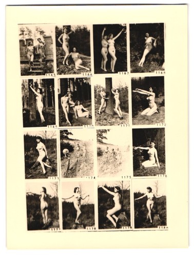 Fotografie akt frau - akt,