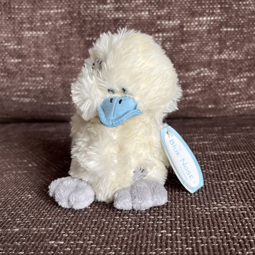 Blue nose friends dilly 4 - blue,
