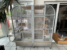Vogelvoliere xxl gebraucht für innen B/H/T 160x170x80cm Innenmaße-Selbstabholung