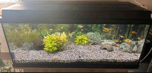 Aquarium komplettset 160l - komplettset,