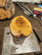 Olivenholz, Olive, zum