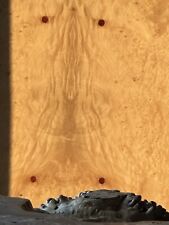 Pappel Maser Furnier/ Knolle 