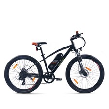 E-Bike B-Ware E-Racing