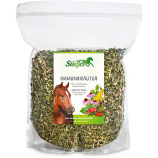 Stiefel Immunkräuter für
