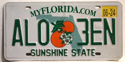 Florida nummernschild usa - florida,