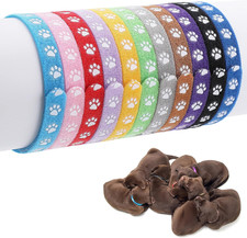 12 Stück Welpenhalsbänder