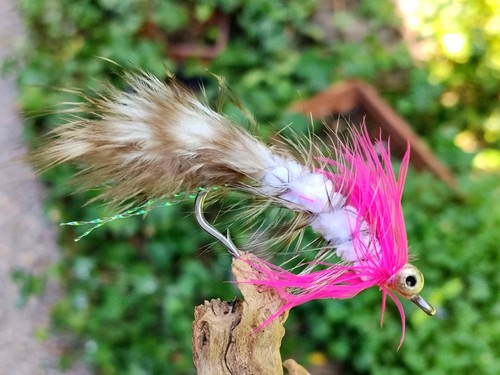 Gilchrist fliegen x polar - fliegen., 3
