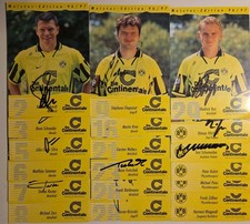 BVB Borussia Dortmund 19