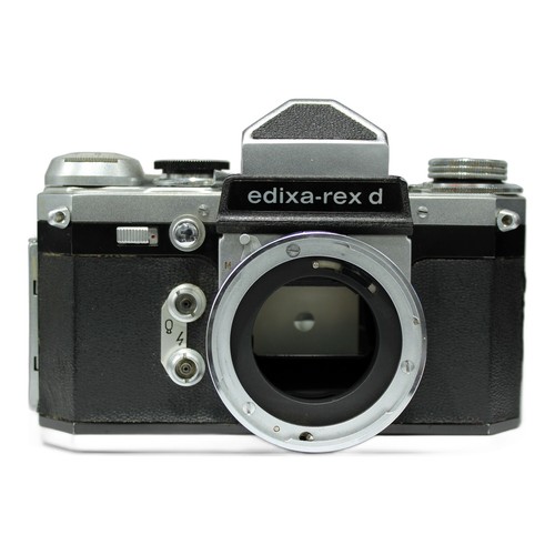 Wirgin edixa rex - wirgin, edixa-rex