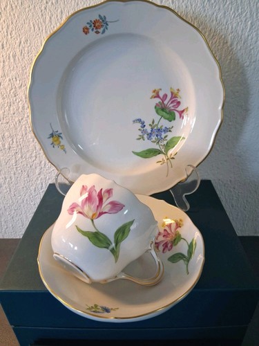 Meissen kaffeeset wahl bunte - kaffeeset,