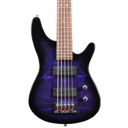 Lindo pdb purple - v2, dove