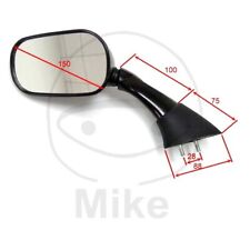 Verkleidungsspiegel Spiegel