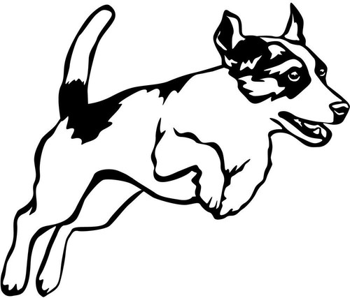 Jack russell terrier aufkleber - jack,