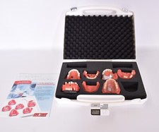 Go-Dent Schaumodell mit Koffer, Dental, Zahntechnik  ED8150