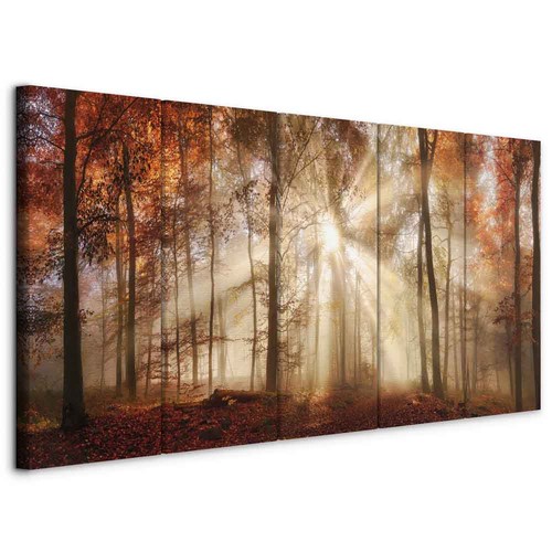 Wald landschaft natur - wald,