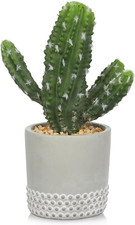 Kunstpflanze Kaktus im