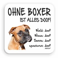 Kühlschrankmagnet "Ohne Boxer