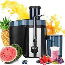 Entsafter Für Obst Und Gemüse Aus Edelstahl 1000W Elektrische Saftpresse 500ml