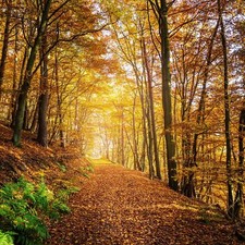 Remscheid bergisches land - bergisches,