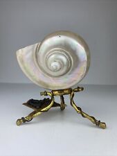 Muschel Nautilus Bronze