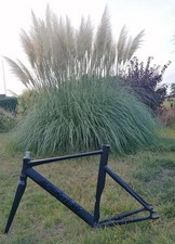 Aventon Mataro Black – Fixie/Flip-Flop/Single Speed/Rennrad Rahmen – 55cm