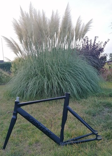 Aventon mataro black - mataro,