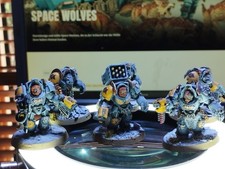 Space Marine / Space Wolves Terminatoren  40k TOP bemalt und gebased "7"