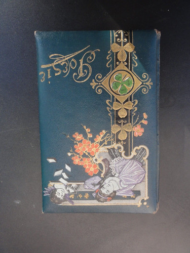 Altes poesie album 1900 - altes,