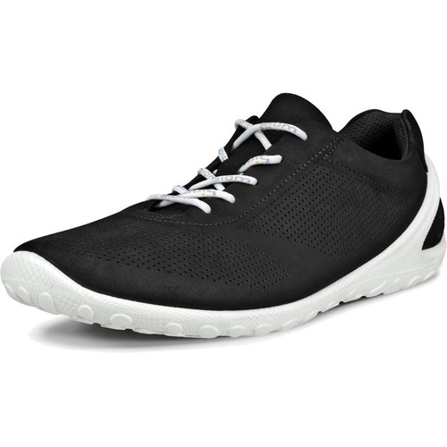 Ecco herren biom - biom, low
