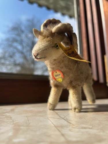 Original steiff widder - steiff,