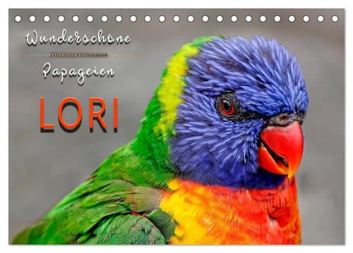 Wunderschöne papageien lori - -,
