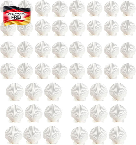 Stück naturmuscheln für - stück,