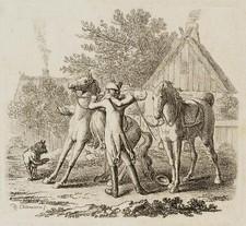 D. CHODOWIECKI (*1726), Julie