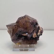 Fluorit mit Chalkopyrit Grube Bergmännisch Glück Frohnau Erzgebirge Sachsen