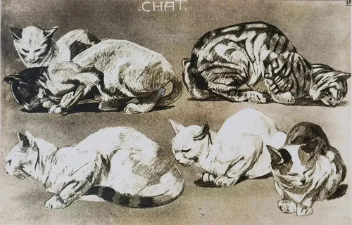 Mathurin meheut die - mathurin, katze