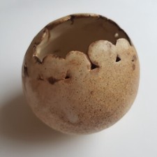 Art Studio Pottery Keramik Topf Vase glasiert 9cm Dinosaurier Ei Handarbeit British