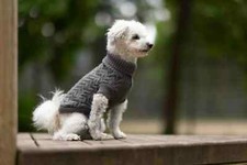 Hundepullover Strickpullover Wolters Isolde, Tristan Winterpullover