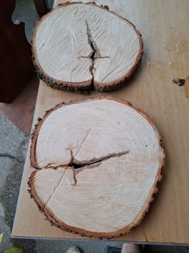 Baumscheiben linde stück - linde, 2