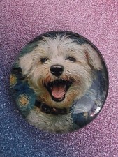 MAGNET -- MALTESER -- HUND  --