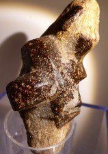 Staurolith-Zwilling auf