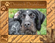 Deutsch Drahthaar Laser