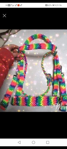 Regenbogen trense shetland - trense.,