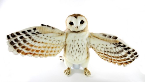 Schleiereule hand handpuppe - schleiereule, hand,