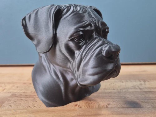 Cane corso büste - büste, –