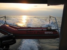 Motorboot , 8 X 2,5, Fjord, Diesel 110 PS, Halbgl., 2 Schlafpl., Toil. Ko., Ks.