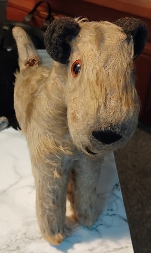 Antiker steiff terrier 22cm - steiff?,