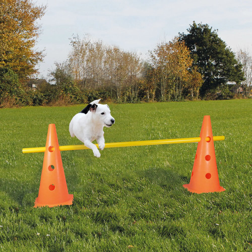 Pylonen hürde für agility - pylonen-hürde,