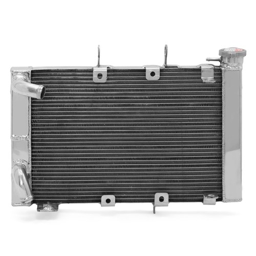Trident 660 2020 2021 - , 2022