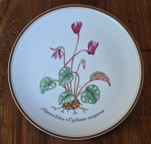 Rosenthal teller wandteller - rosenthal, teller/wandteller